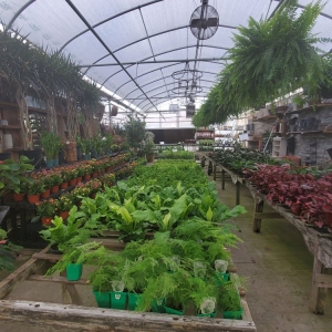 Photo of Millstone Market and Nursery