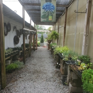 Photo of Millstone Market and Nursery