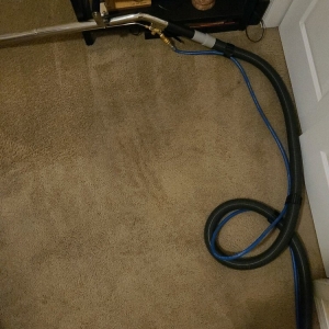 Photo of House Bright Cleaning Services