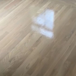Photo of Floor.1.1