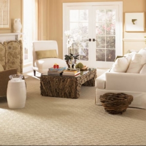 Jacksonville Michaels Carpet Care