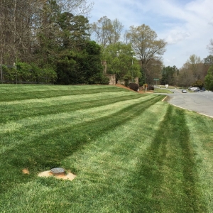 Indian Trail Carolina Roots Landscaping