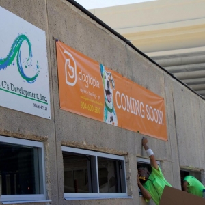 Photo of Emerald C's Development