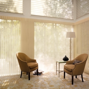 Photo of Affordable Blind Services