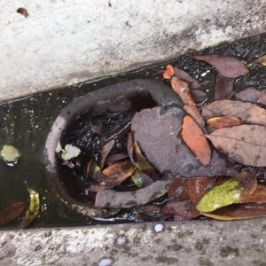 Photo of AG Gutters