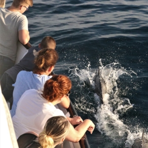 Photo of Cruise San Diego