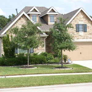 Photo of Absolute Property Management
