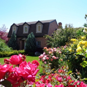Photo of Shiner Real Estate