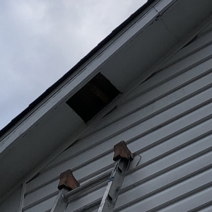 Photo of Mario's Handyman Service
