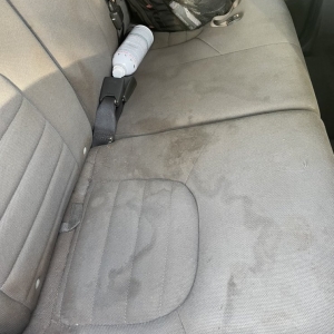 Peachtree Corners Fresh Fibers Floor Care