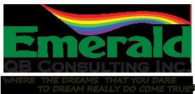 Photo of Emerald QB Consulting