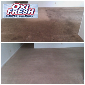 Photo of Oxi Fresh Carpet Cleaning