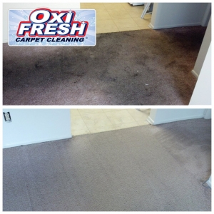 Photo of Oxi Fresh Carpet Cleaning