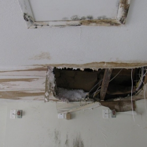 Photo of Indoor Environmental Services