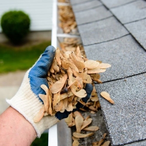 Minneapolis Gopher Gutter Cleaning