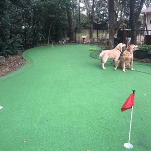 Photo of Purchase Green Artificial Grass