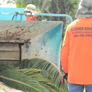 Photo of Jardineria con Flower Breeze Corp.