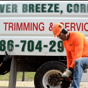 Photo of Jardineria con Flower Breeze Corp.