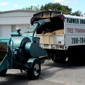 Photo of Jardineria con Flower Breeze Corp.