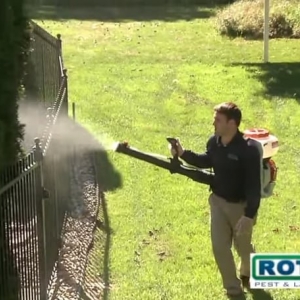 Photo of Rottler Pest Solutions