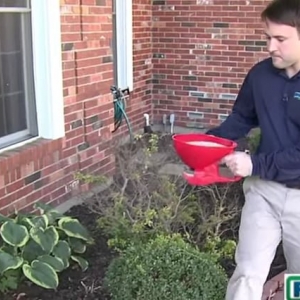 Photo of Rottler Pest Solutions