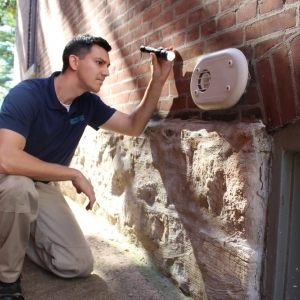 Photo of Rottler Pest Solutions