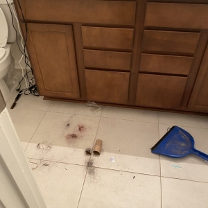 Photo of Caren's Cleaning Service
