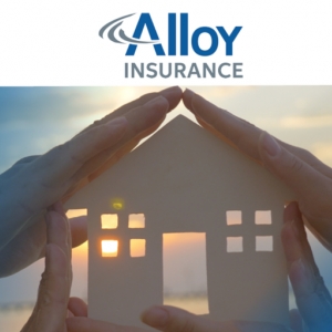 Photo of Alloy Insurance