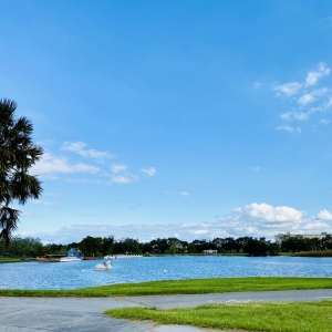 Photo of New Orleans City Park