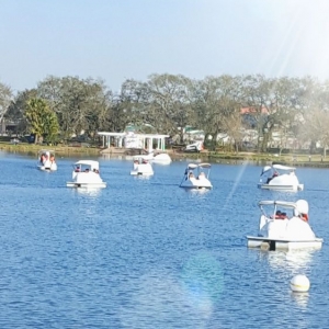 Photo of New Orleans City Park