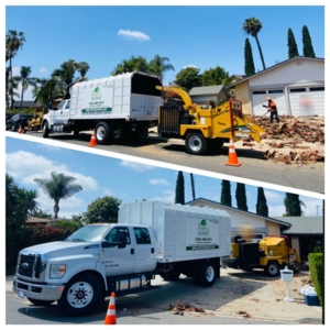 Photo of La Costa Tree Service & Maintenance