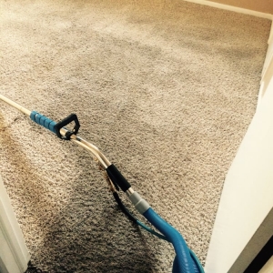 Photo of Proforce Carpet cleaning