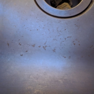 Photo of Dirty Deeds Cleaning