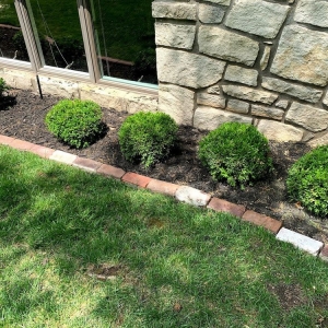 Photo of Capetillo Landscaping & Tree Service