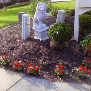 Photo of Capetillo Landscaping & Tree Service