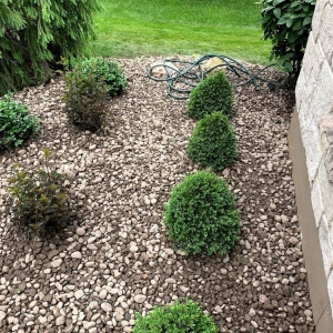 Photo of Capetillo Landscaping & Tree Service