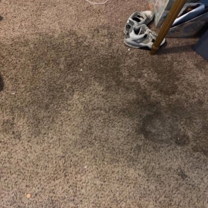 Photo of UNION Cleaning National Services