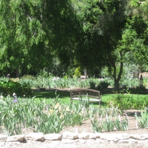 Photo of Iris Howse and Gardens