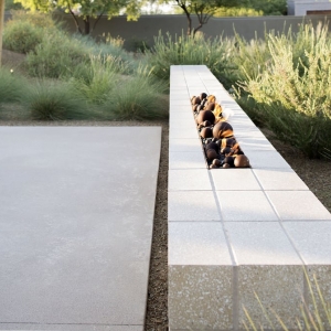 Phoenix Specialty Fireplaces by Wayne Holsapple