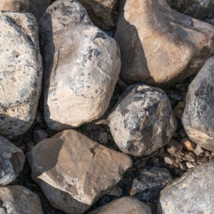 Photo of Adobe Rock Products