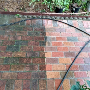 Photo of GT Exterior Cleaning-