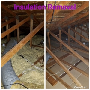 Photo of Attic Bros