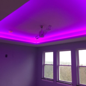 Photo of Wilcox Elite Electrical Services