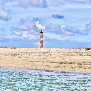 Photo of Tideline Tours