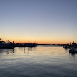 Photo of Tideline Tours