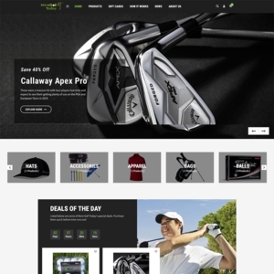 Photo of DAVID SHANE web design