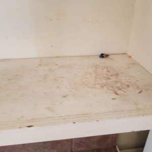 Photo of Stephanie's Cleaning Service