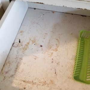Photo of Stephanie's Cleaning Service
