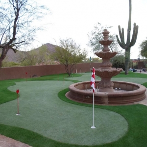 Photo of The Synthetic Grass Store
