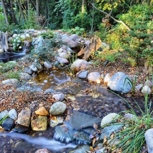 Photo of Aquatica